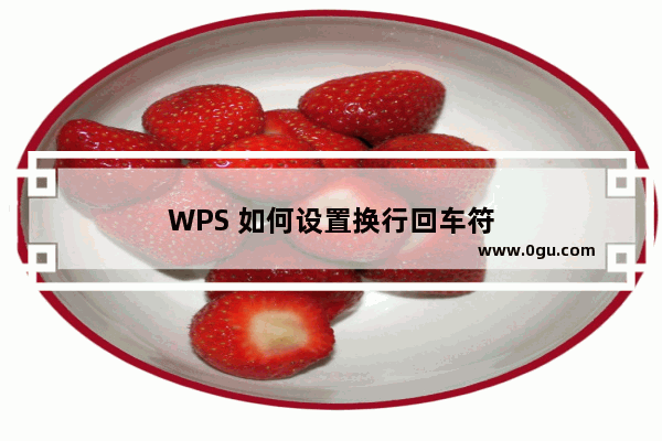 WPS 如何设置换行回车符