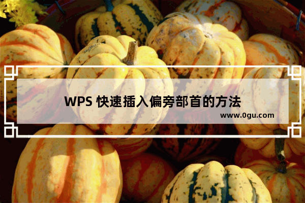 WPS 快速插入偏旁部首的方法