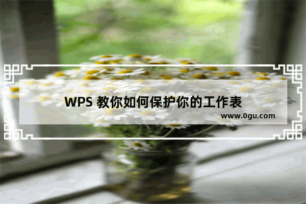 WPS 教你如何保护你的工作表