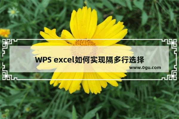 WPS excel如何实现隔多行选择