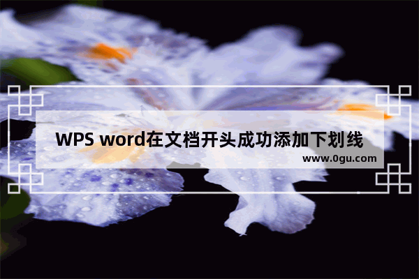 WPS word在文档开头成功添加下划线