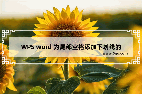 WPS word 为尾部空格添加下划线的方法