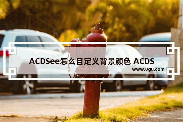 ACDSee怎么自定义背景颜色 ACDSee修改背景颜色的方法