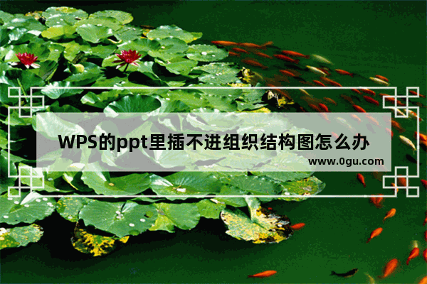 WPS的ppt里插不进组织结构图怎么办