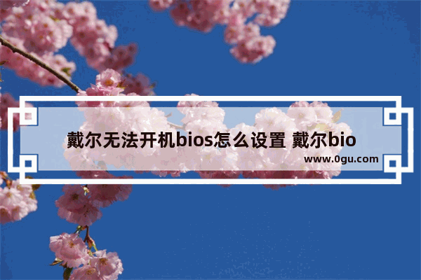 戴尔无法开机bios怎么设置 戴尔bios进不去怎么办