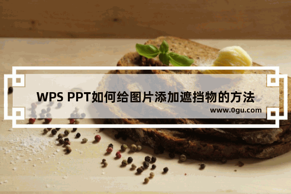 WPS PPT如何给图片添加遮挡物的方法