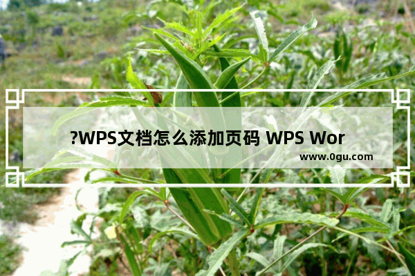 ?WPS文档怎么添加页码 WPS Word设置页码方法教程