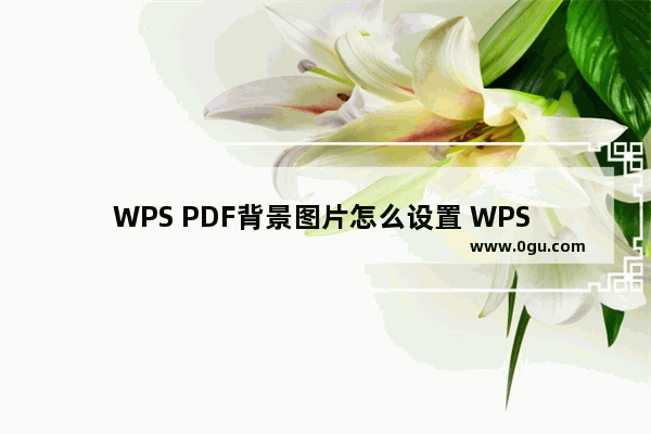 WPS PDF背景图片怎么设置 WPS PDF中添加背景图片的方法