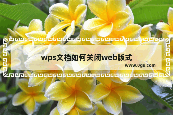 wps文档如何关闭web版式