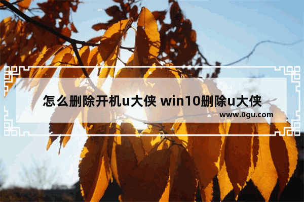 怎么删除开机u大侠 win10删除u大侠启动项