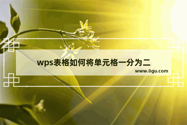 wps表格如何将单元格一分为二