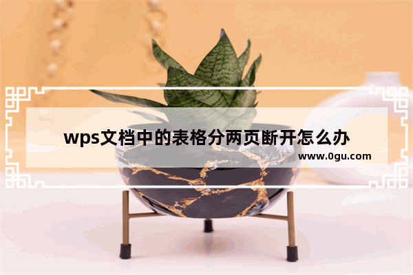 wps文档中的表格分两页断开怎么办