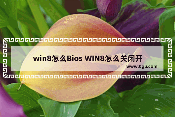 win8怎么Bios WIN8怎么关闭开机启动项