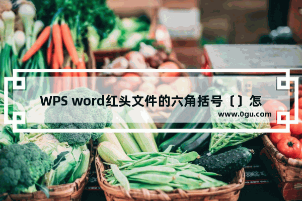 WPS word红头文件的六角括号〔〕怎么打