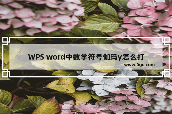 WPS word中数学符号伽玛γ怎么打