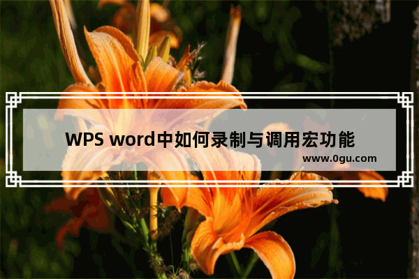 WPS word中如何录制与调用宏功能