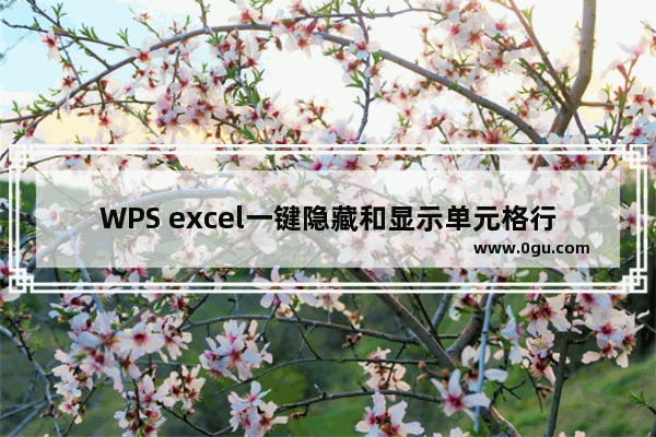 WPS excel一键隐藏和显示单元格行或列