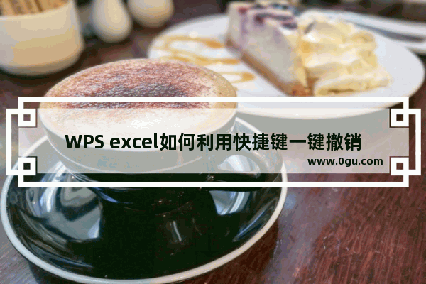 WPS excel如何利用快捷键一键撤销和恢复