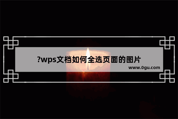 ?wps文档如何全选页面的图片