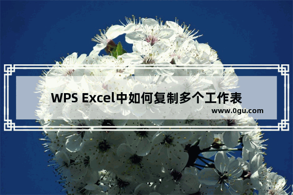 WPS Excel中如何复制多个工作表