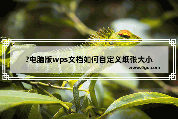 ?电脑版wps文档如何自定义纸张大小