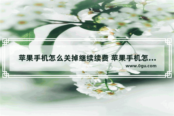 苹果手机怎么关掉继续续费 苹果手机怎么取消继续付费