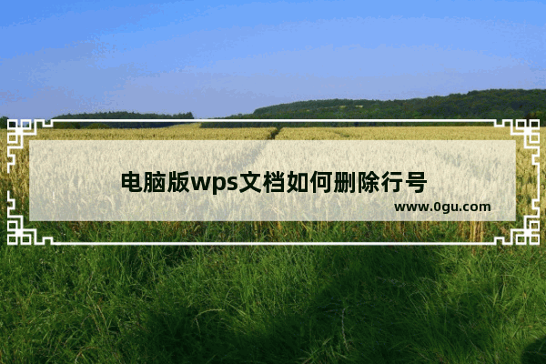 电脑版wps文档如何删除行号