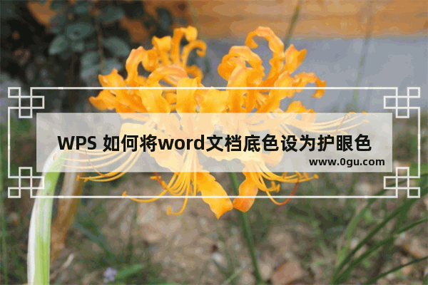 WPS 如何将word文档底色设为护眼色