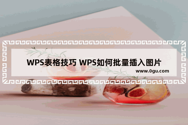 WPS表格技巧 WPS如何批量插入图片