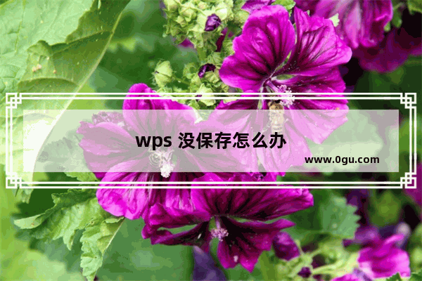 wps 没保存怎么办