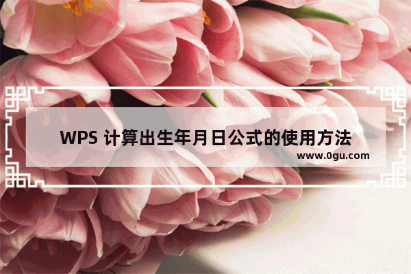 WPS 计算出生年月日公式的使用方法