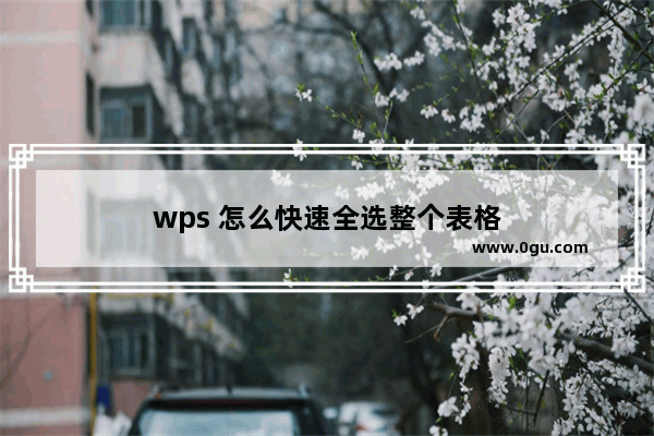 wps 怎么快速全选整个表格