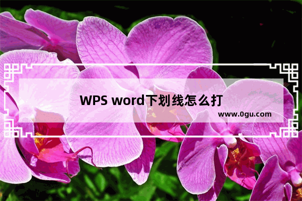 WPS word下划线怎么打