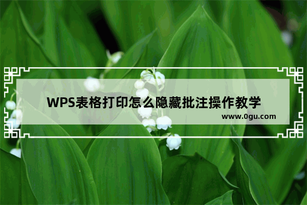 WPS表格打印怎么隐藏批注操作教学