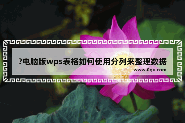 ?电脑版wps表格如何使用分列来整理数据