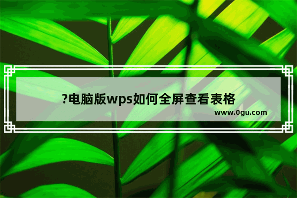 ?电脑版wps如何全屏查看表格