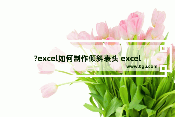 ?excel如何制作倾斜表头 excel制作倾斜表头的方法