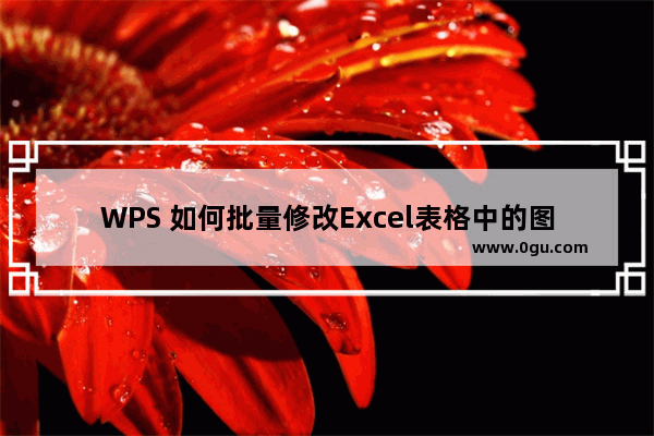 WPS 如何批量修改Excel表格中的图片大小