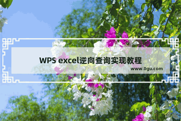 WPS excel逆向查询实现教程