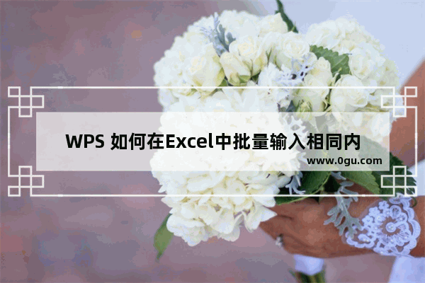 WPS 如何在Excel中批量输入相同内容