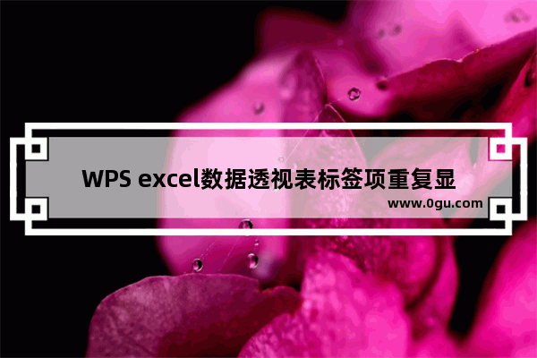 WPS excel数据透视表标签项重复显示与合并行标签