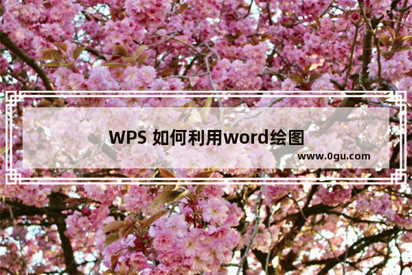 WPS 如何利用word绘图