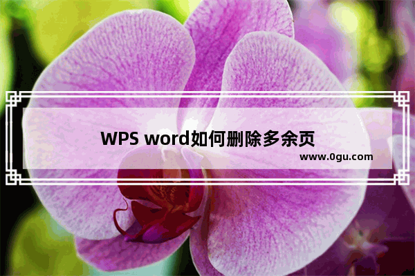 WPS word如何删除多余页