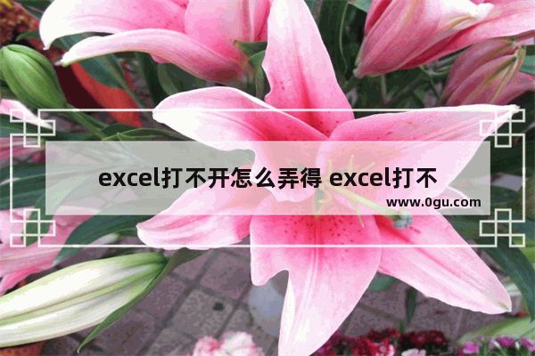 excel打不开怎么弄得 excel打不开怎么回事