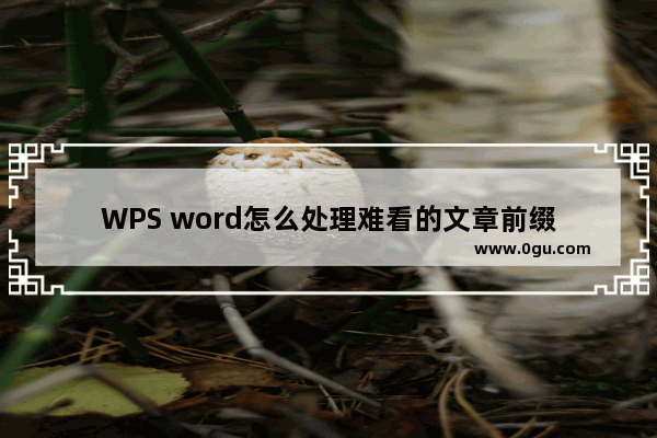 WPS word怎么处理难看的文章前缀