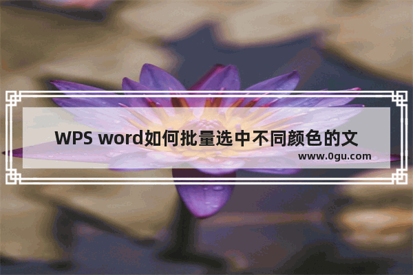 WPS word如何批量选中不同颜色的文字