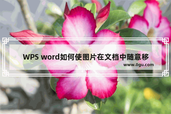 WPS word如何使图片在文档中随意移动