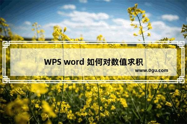 WPS word 如何对数值求积