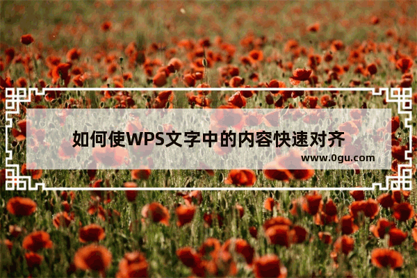 如何使WPS文字中的内容快速对齐