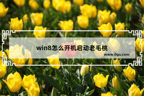 win8怎么开机启动老毛桃